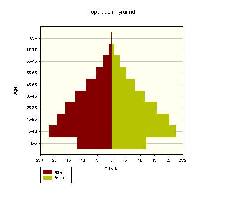 Population Pyramid