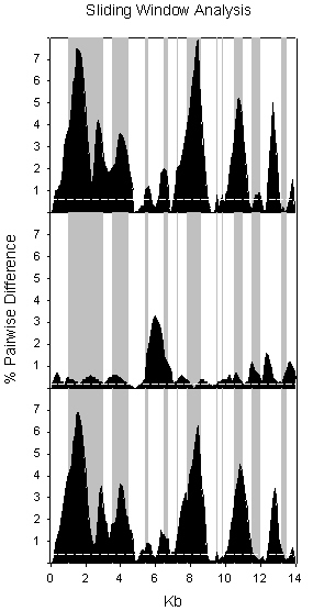 Sliding Window Analysis